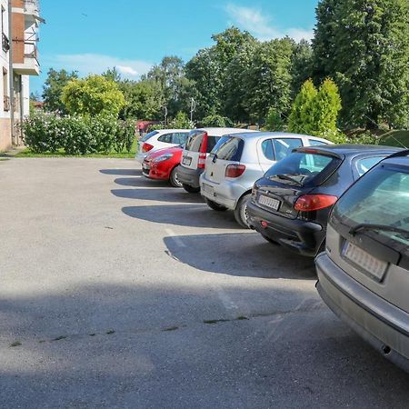 Appartamento Apartman Marija Pirot Esterno foto
