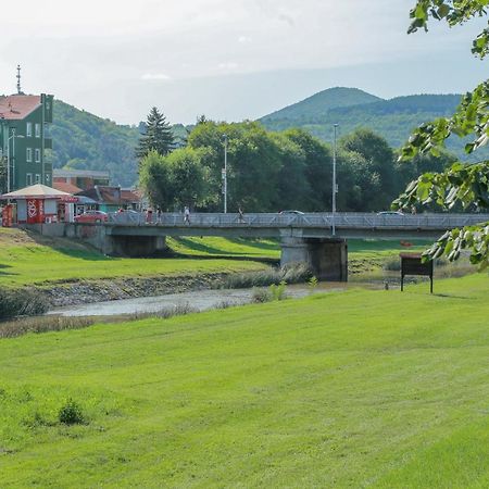 Appartamento Apartman Marija Pirot Esterno foto
