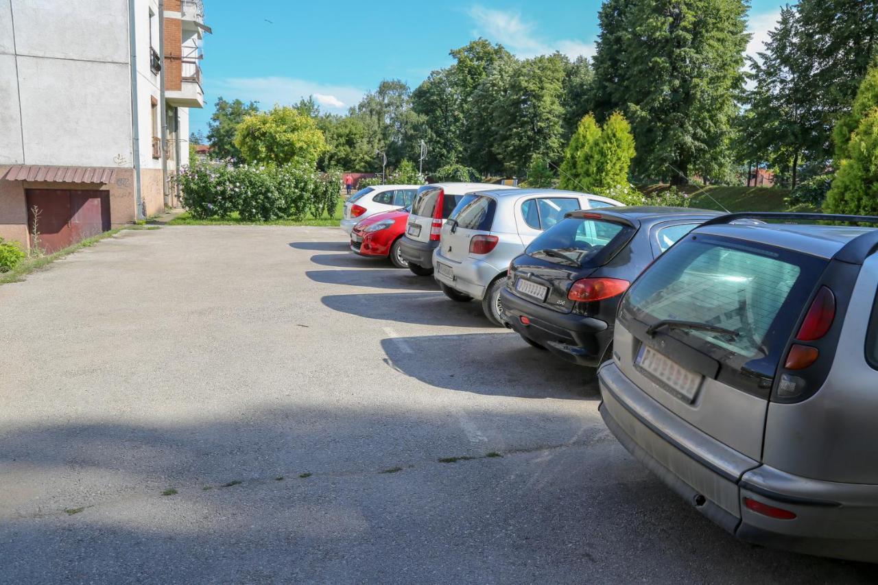 Appartamento Apartman Marija Pirot Esterno foto