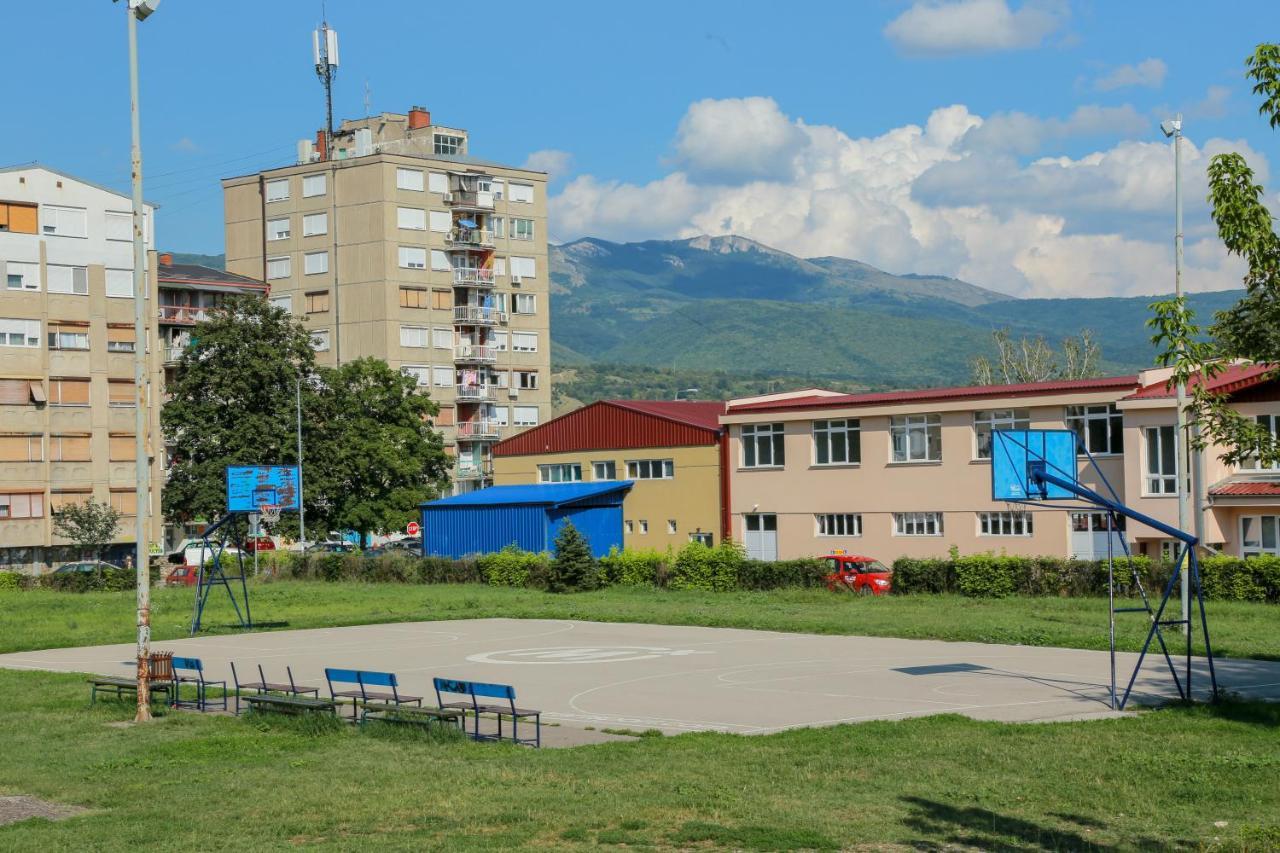 Appartamento Apartman Marija Pirot Esterno foto