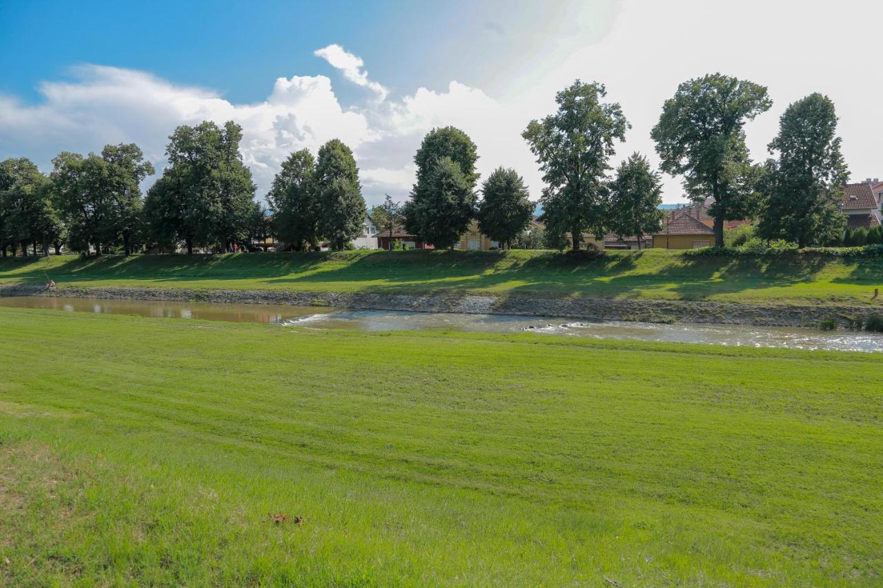 Appartamento Apartman Marija Pirot Esterno foto