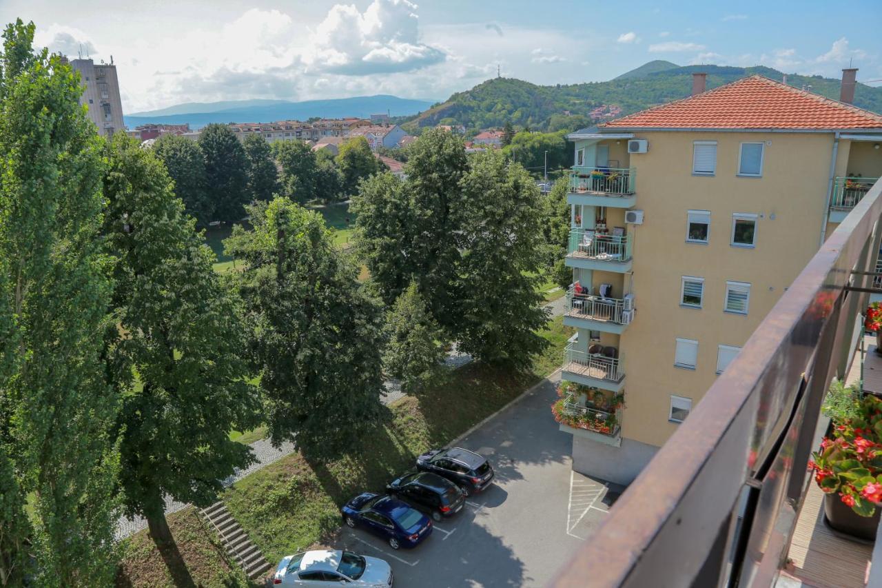 Appartamento Apartman Marija Pirot Esterno foto