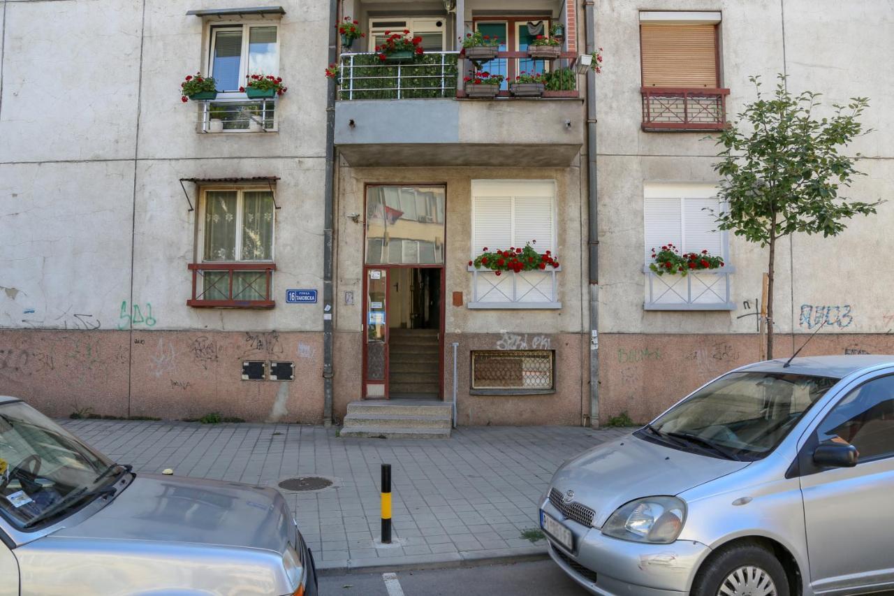 Appartamento Apartman Marija Pirot Esterno foto