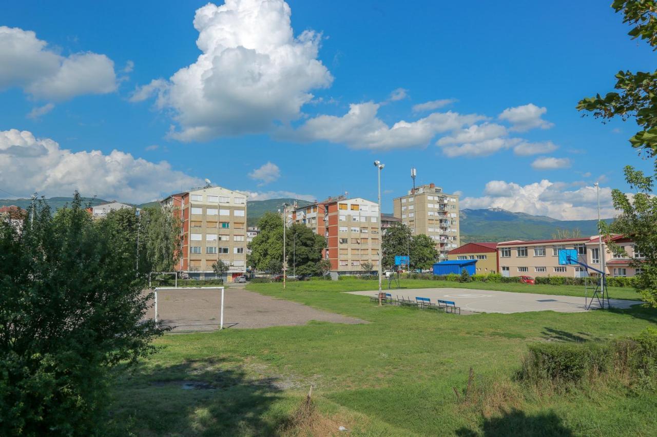 Appartamento Apartman Marija Pirot Esterno foto