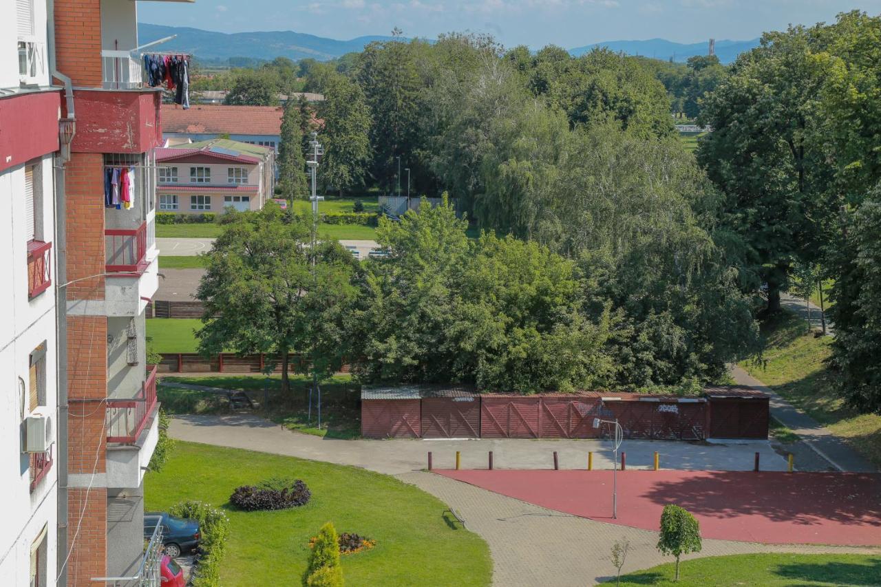 Appartamento Apartman Marija Pirot Esterno foto