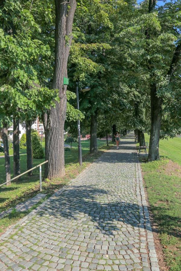 Appartamento Apartman Marija Pirot Esterno foto