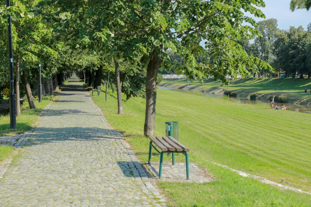 Appartamento Apartman Marija Pirot Esterno foto