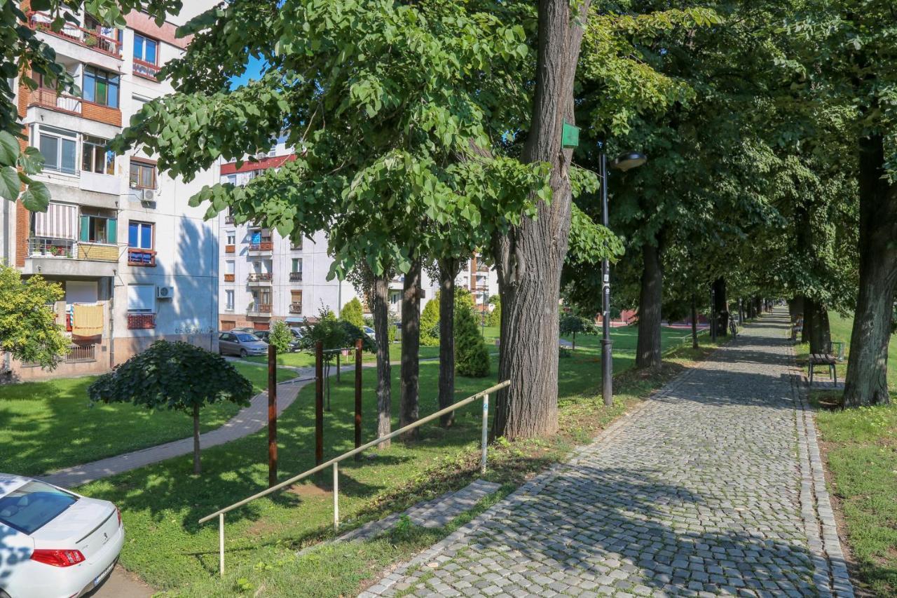 Appartamento Apartman Marija Pirot Esterno foto