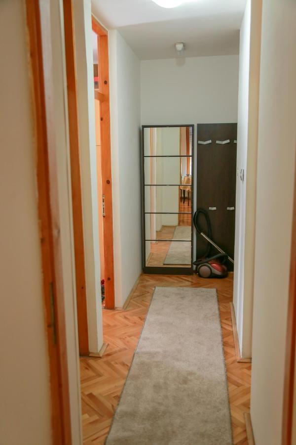 Appartamento Apartman Marija Pirot Esterno foto